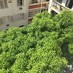 Quarto E Sala Espacoso Na Rua Dias Ferreira, Leblon