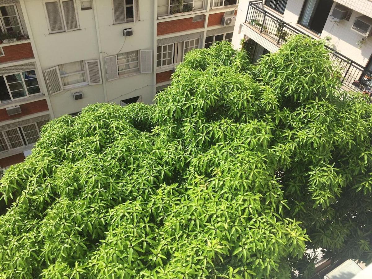 E Sala Espacoso Na Rua Dias Ferreira, Leblon Apartamento Rio de Janeiro